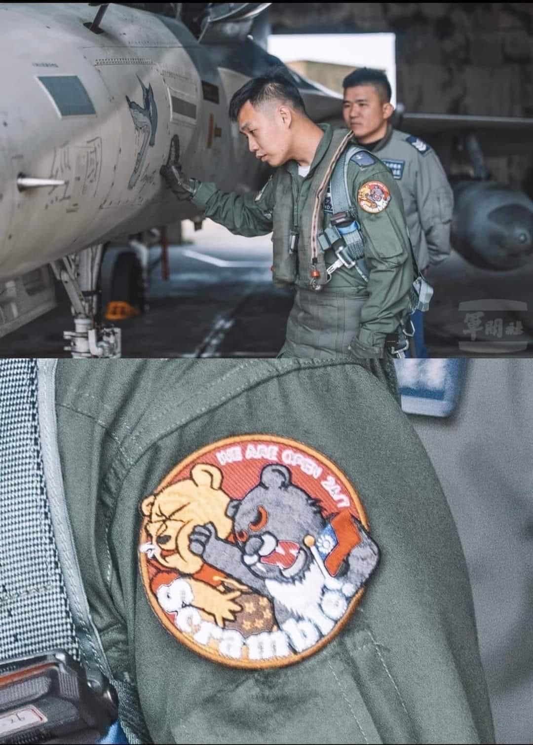 Just a badge by the Taiwanese Air Force