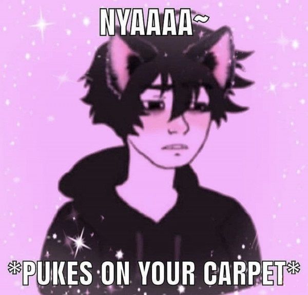 ***