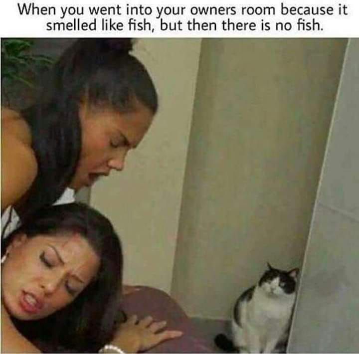 re 100%