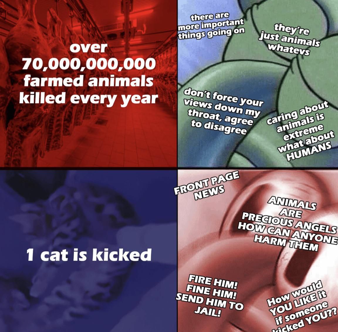 Millions of intelligent animals killed for food: I sleep. Cat kicked: Real shit?