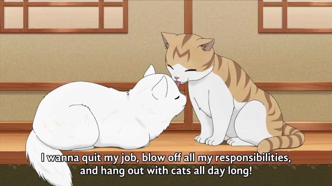 That's literally me