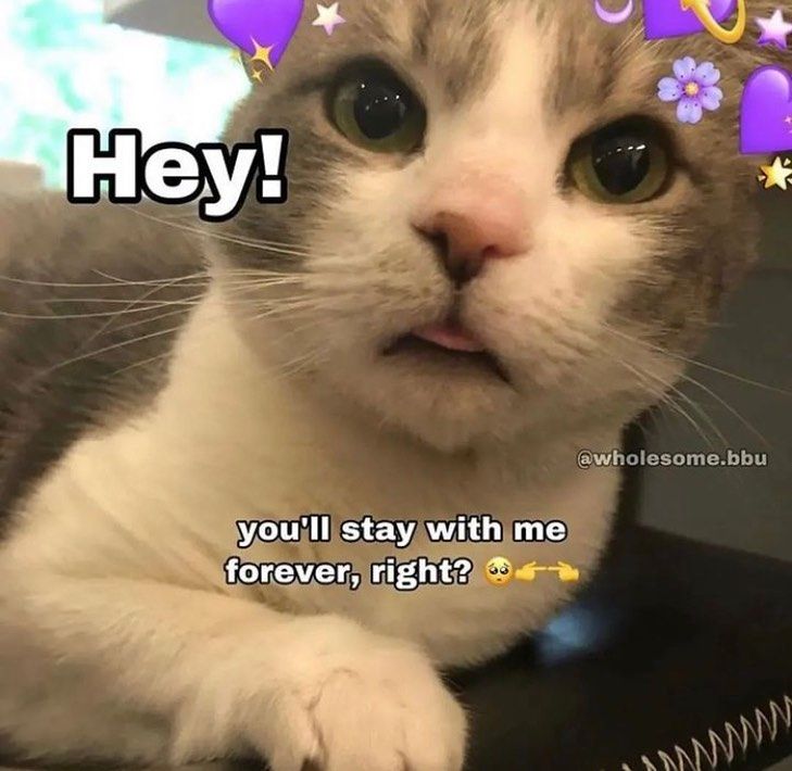 ***