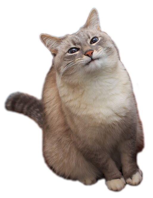 ***
