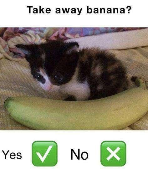 ***