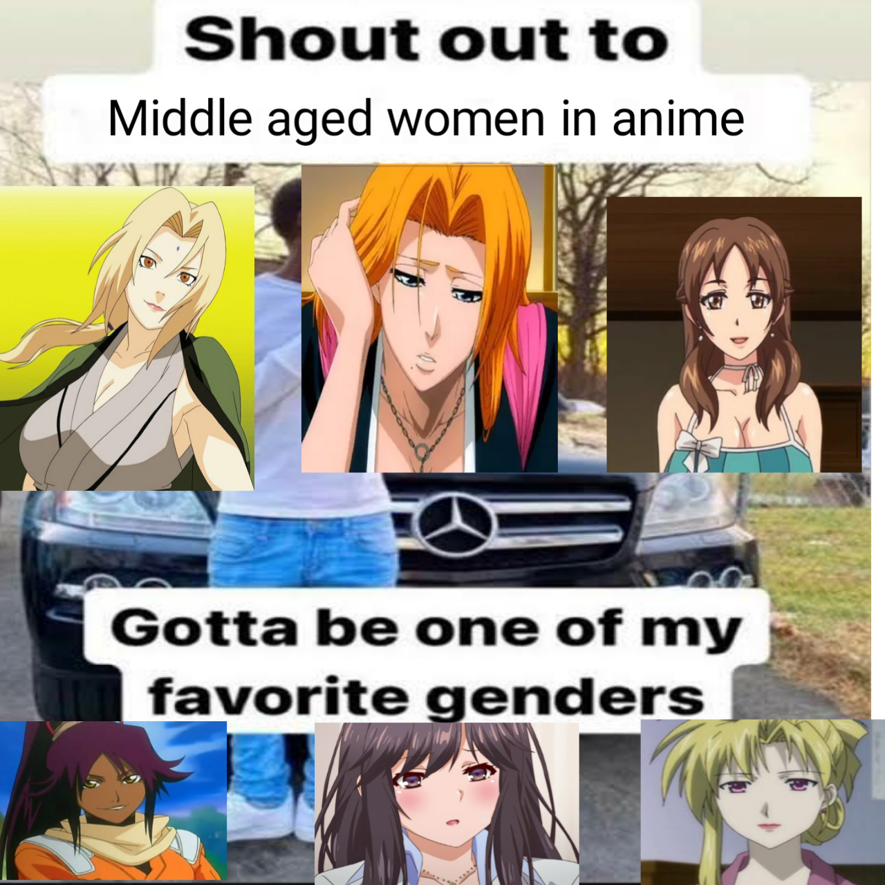 I love middle aged anime womens