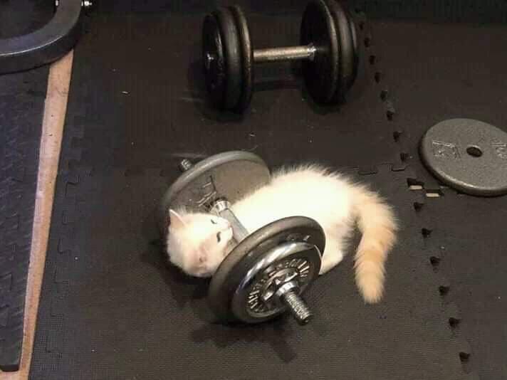 I challenge you to start doing something before Hugelol is kill