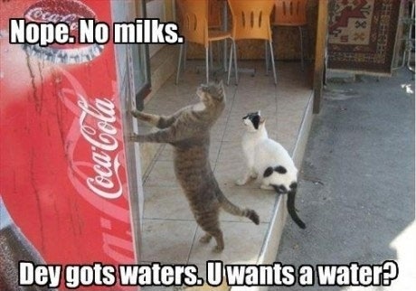 Nope no milk