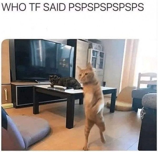 ***
