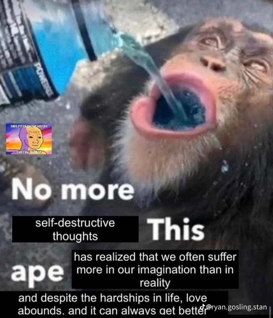 Clever ape