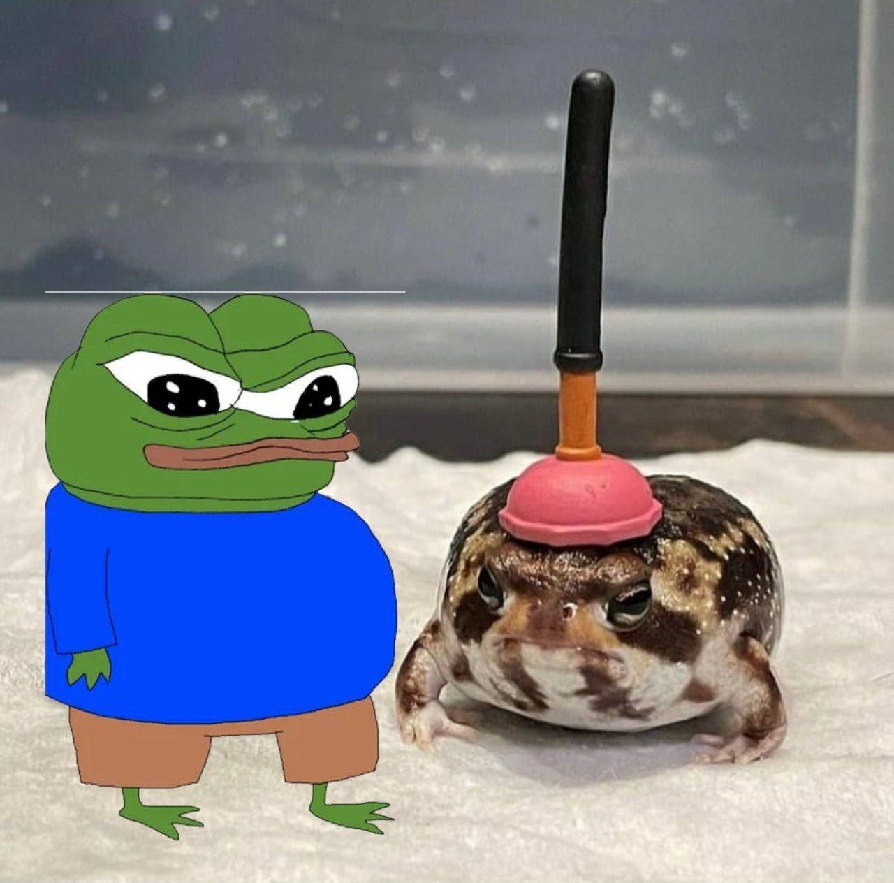 This is what peak performance looks like