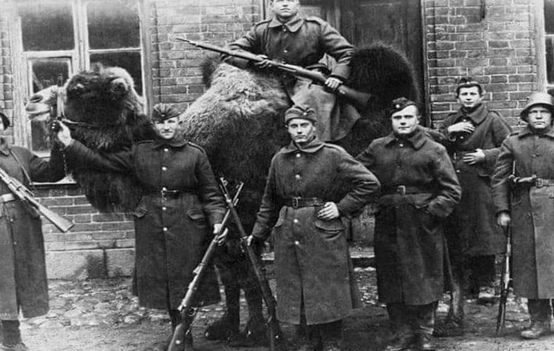 We forgot that time when Lithuanians stole a Russian camel during the freedom wars.