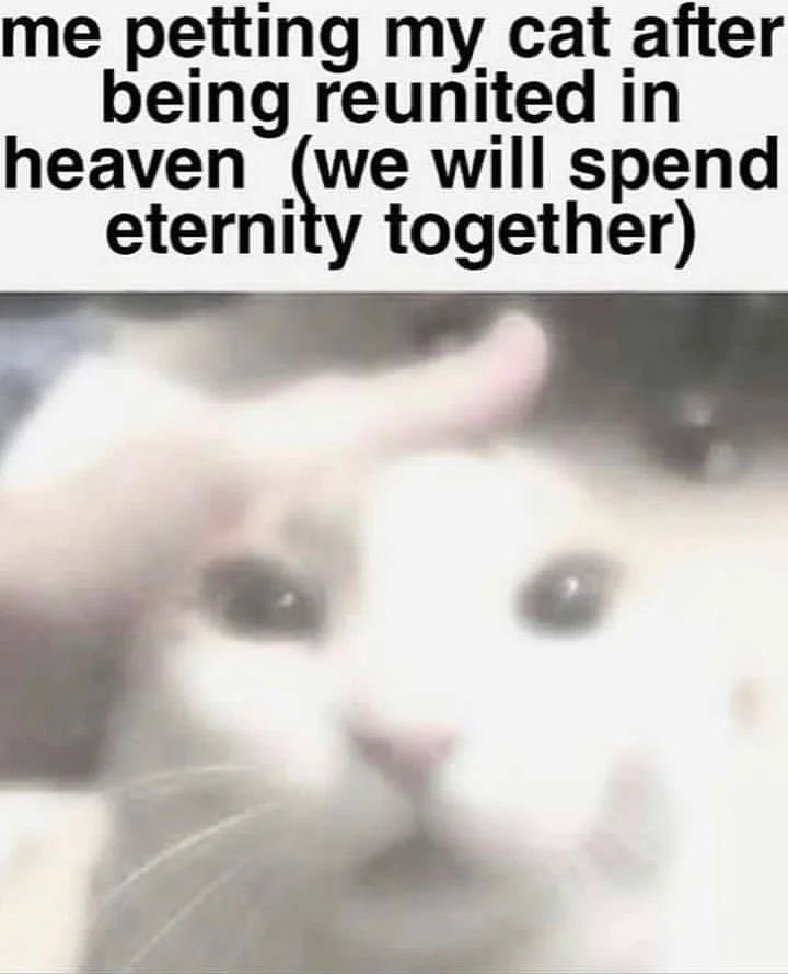 ***