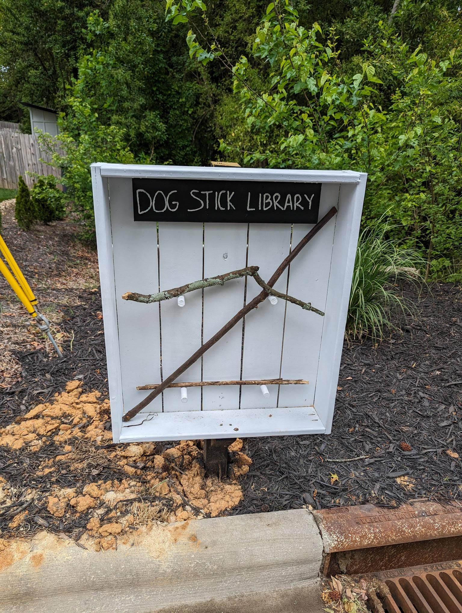 Best small library ever popped up in our neighborhood