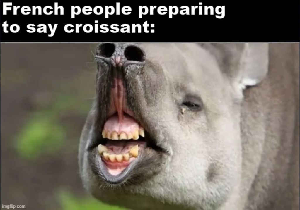 croissant:
