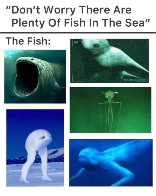fish