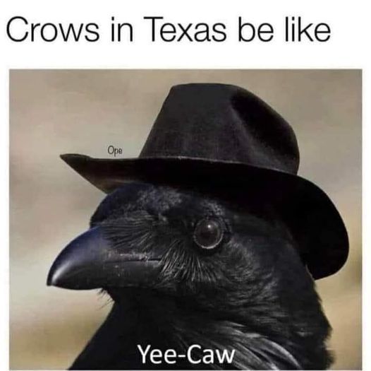 ***