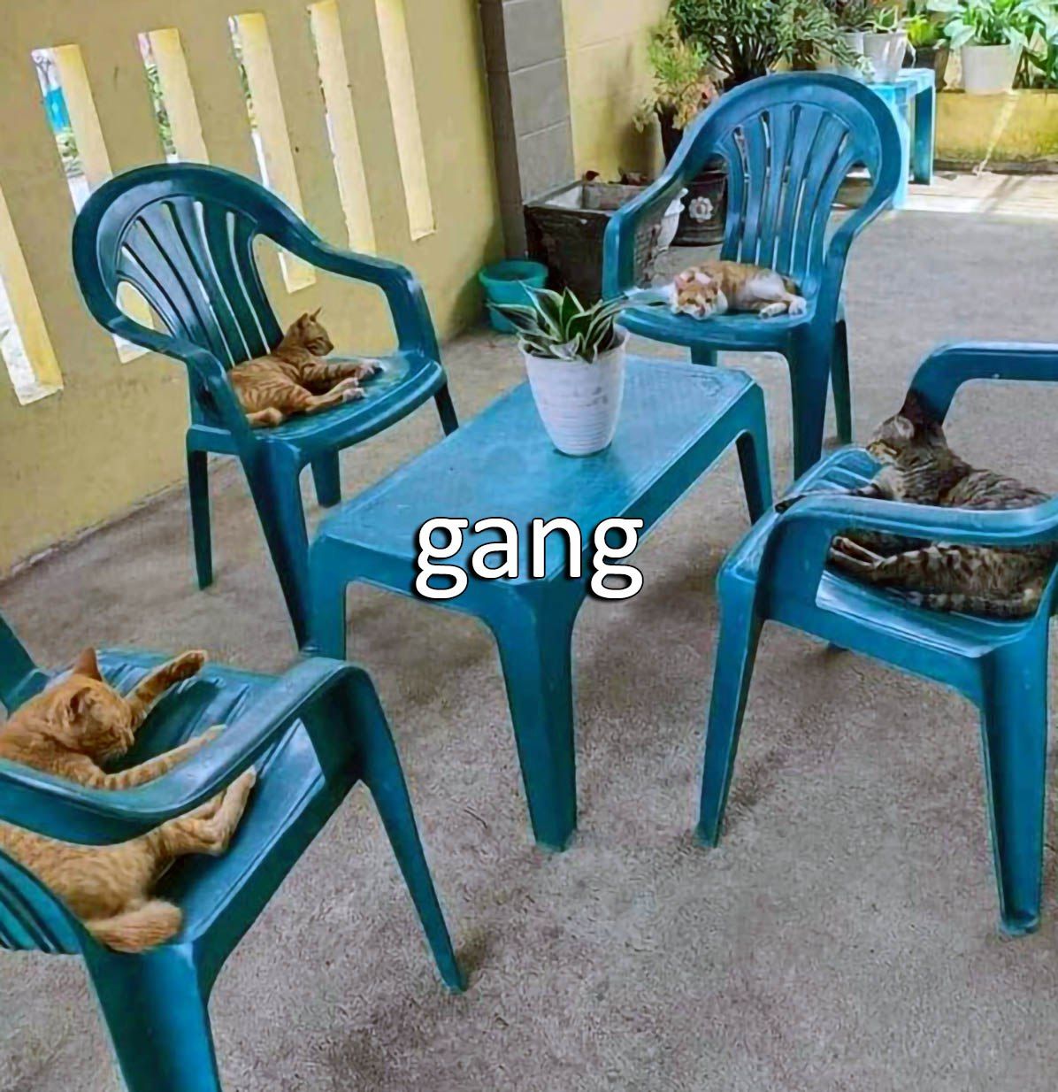 ***