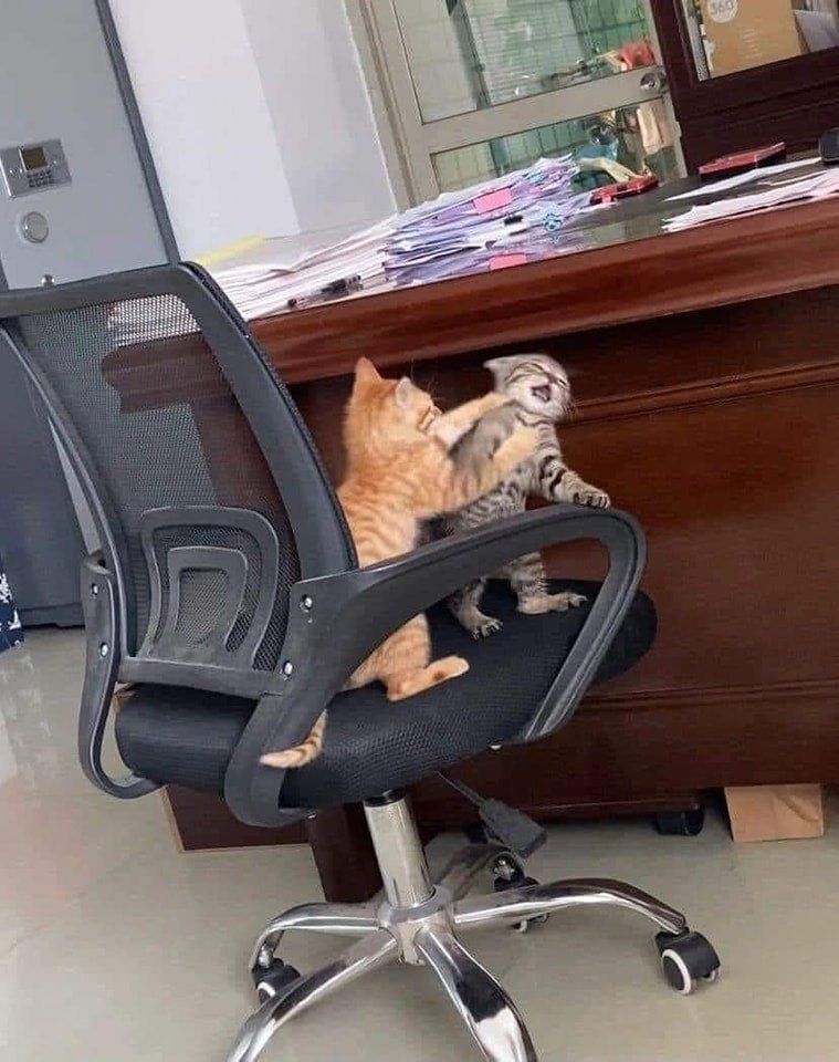 ***