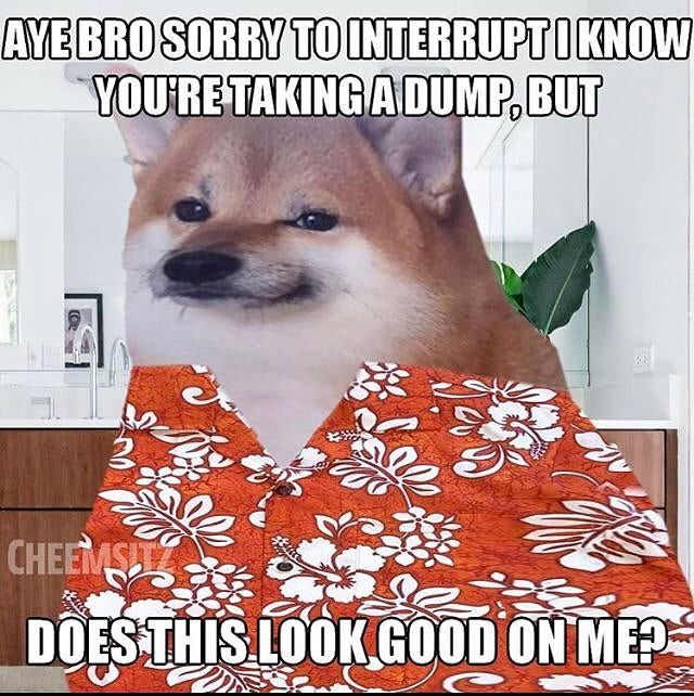 Be honest Bro