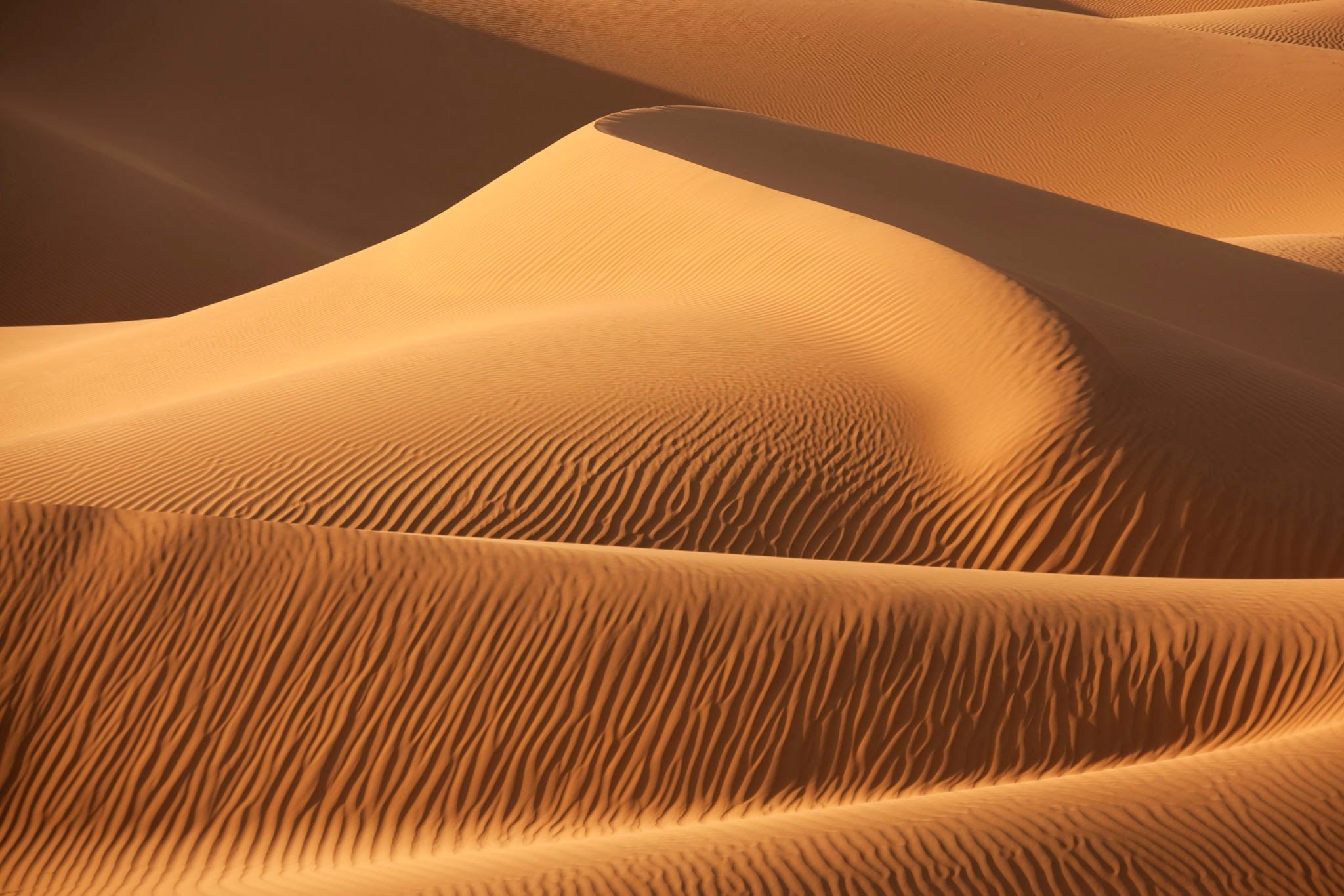 Dune fans be like YOOOOOO