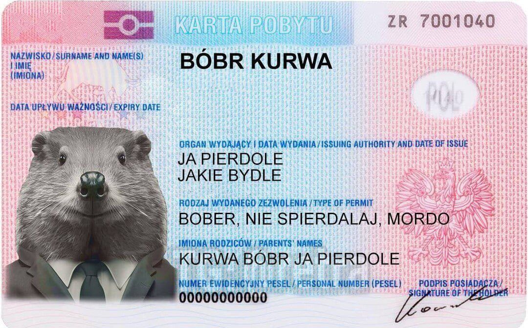 bobr