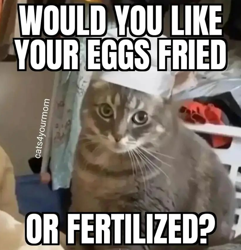 ***