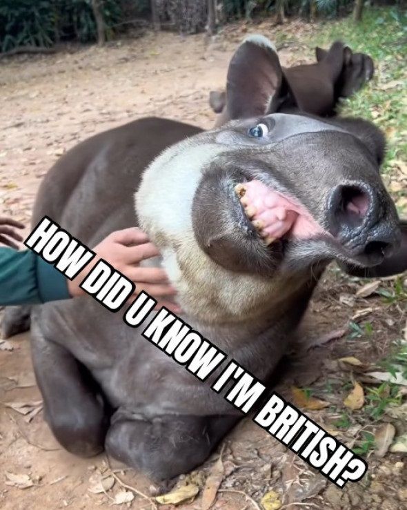 ***