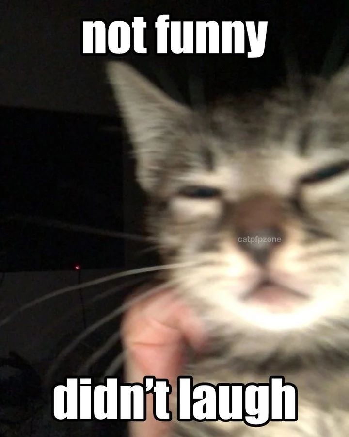 your meme