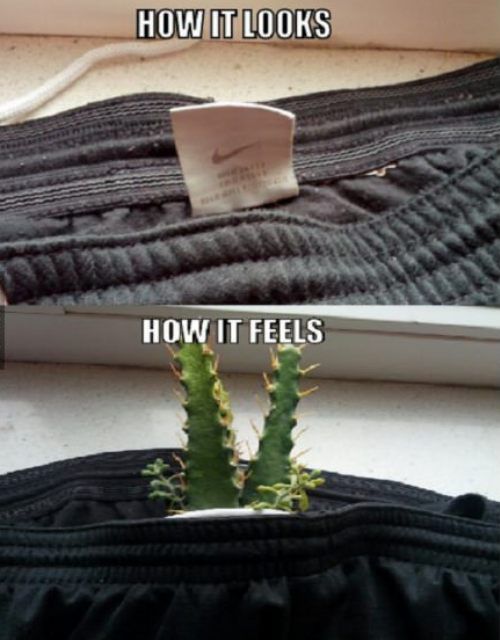 Don't know why clothing companies continue to torture us like this