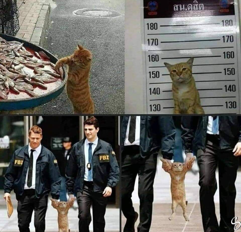 ***