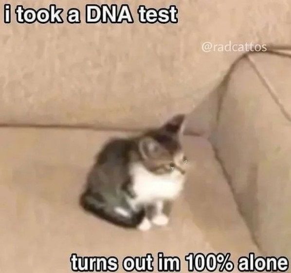 ***