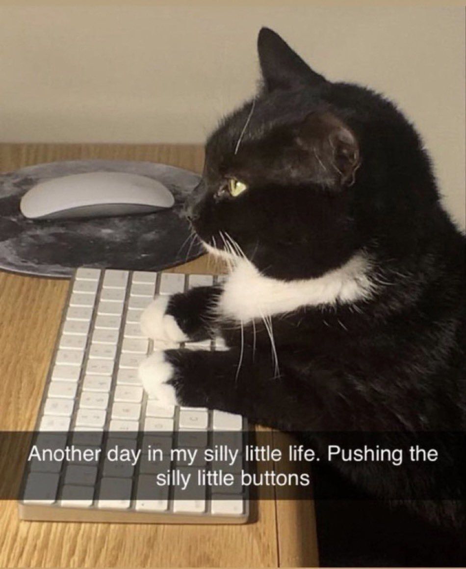***