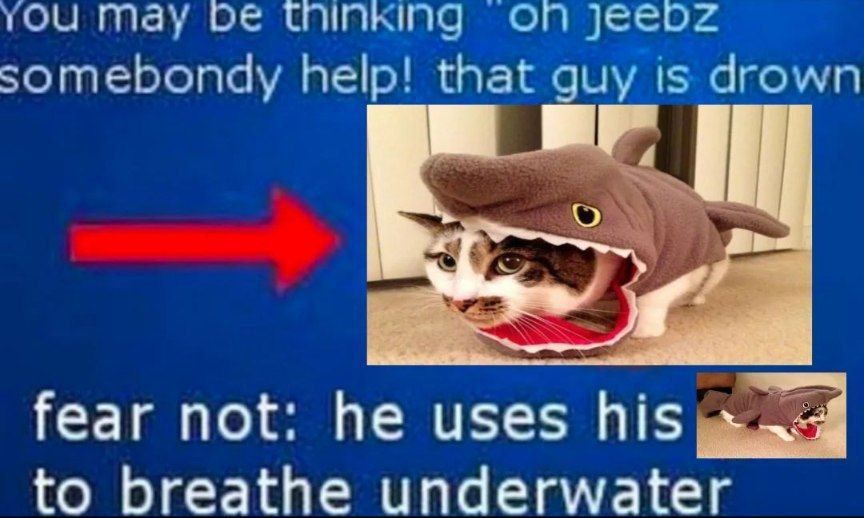 ***