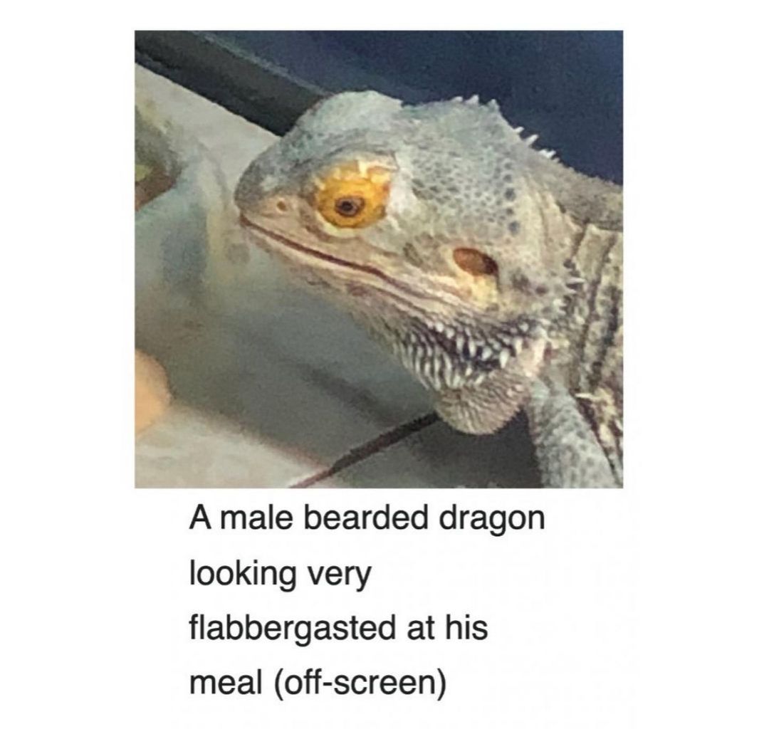 Literally you
