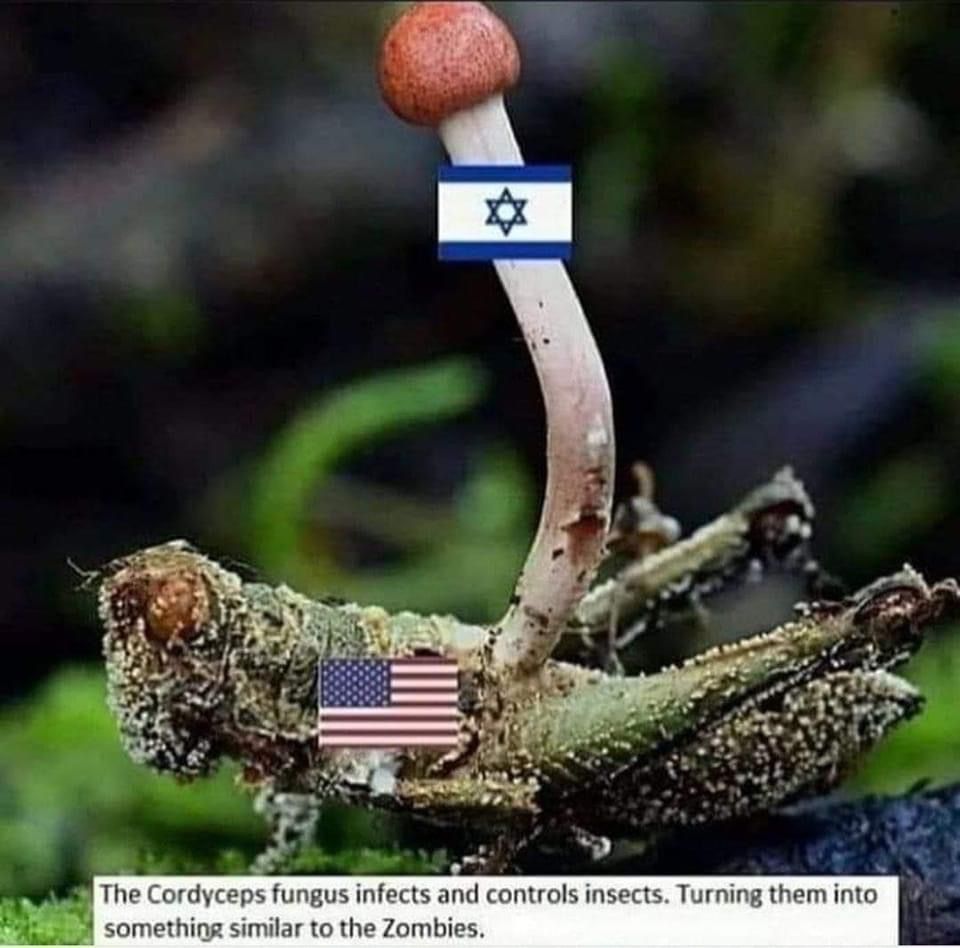 Nature is fascinating