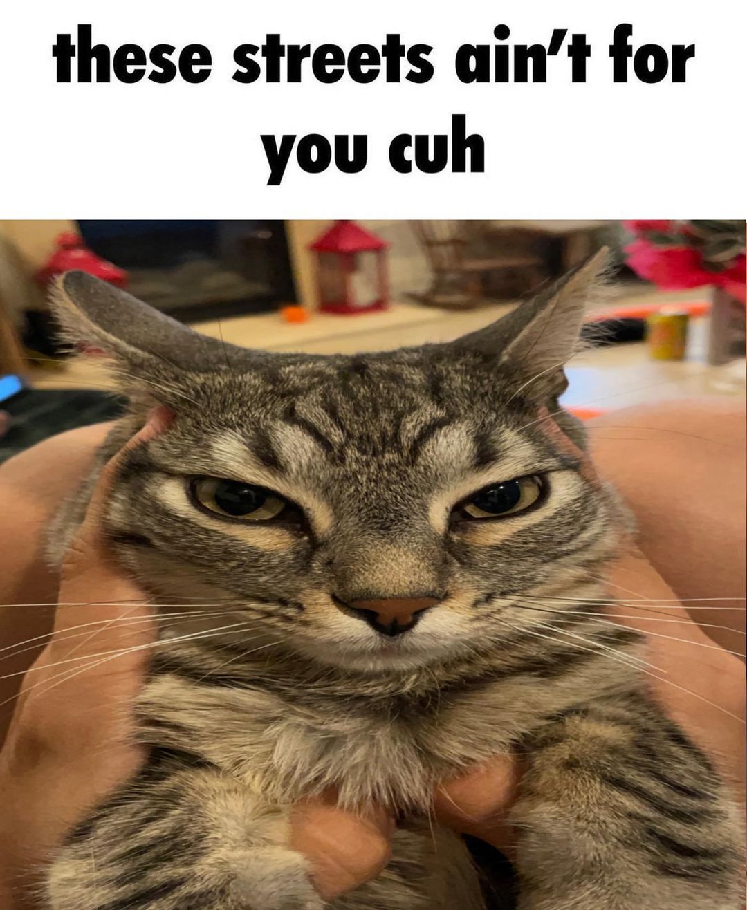 ***