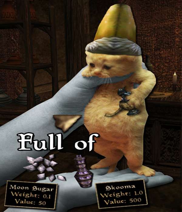 he is just like me (except with me it's detritus)