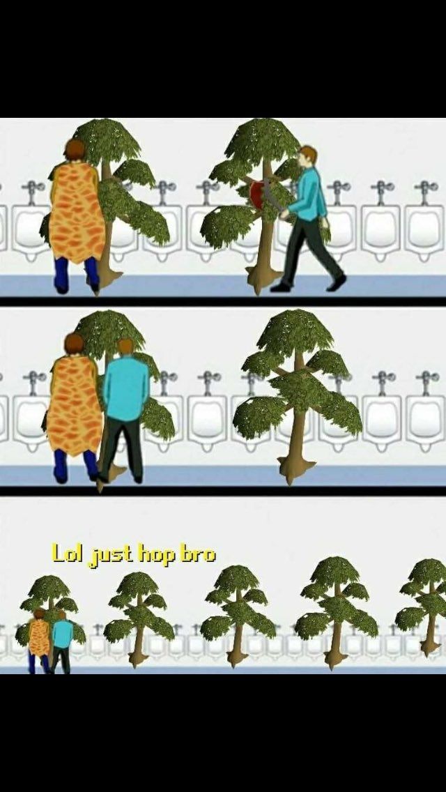 Yew bows
