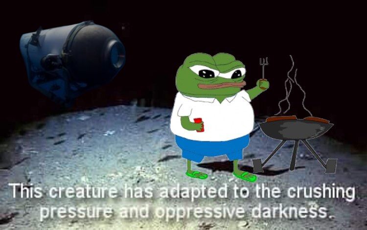 …
