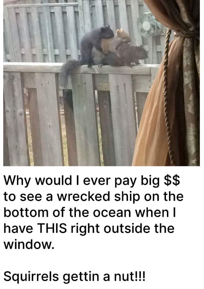 How much is the window?