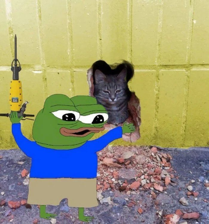 pepe/apu a day - 536 cat saved
