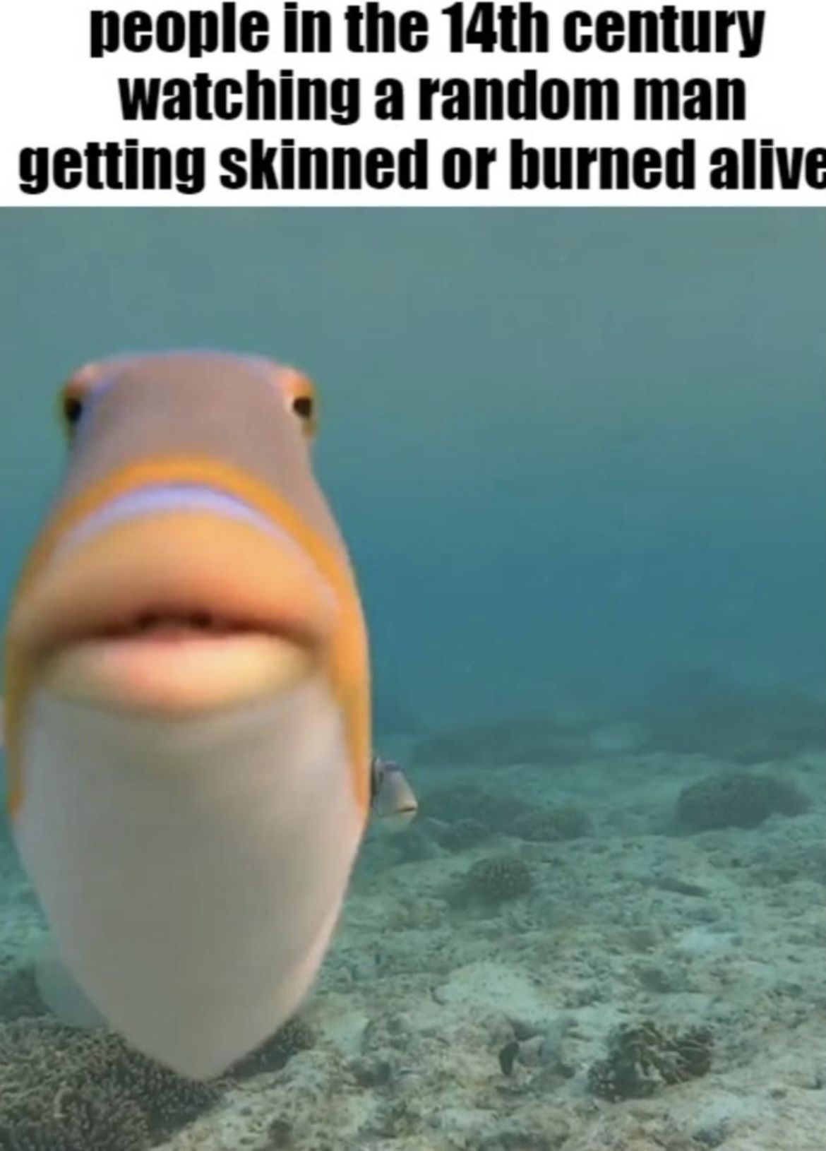 ***