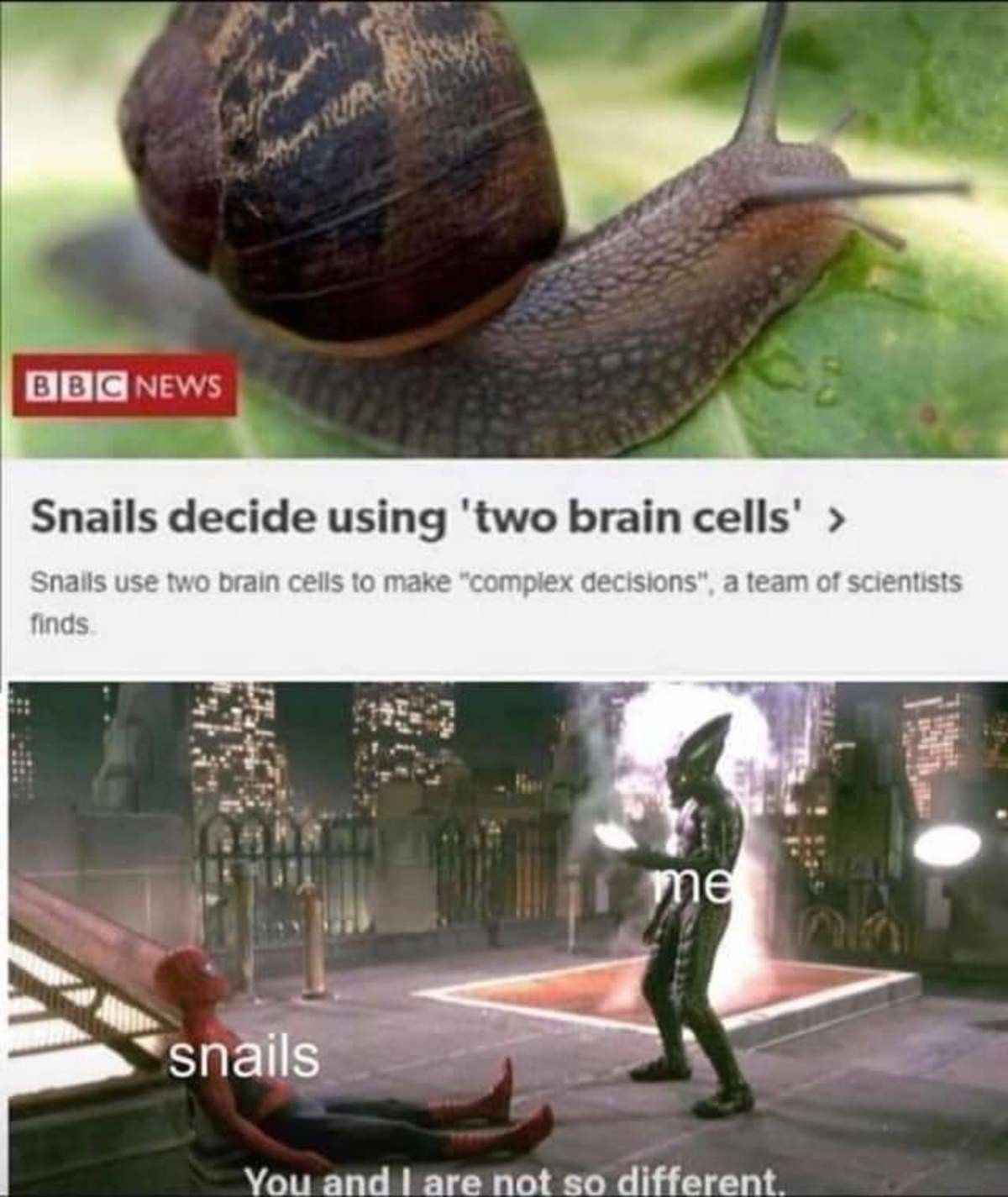 huh,what?
