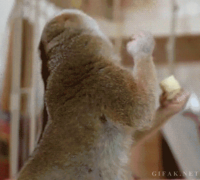 So tasty!