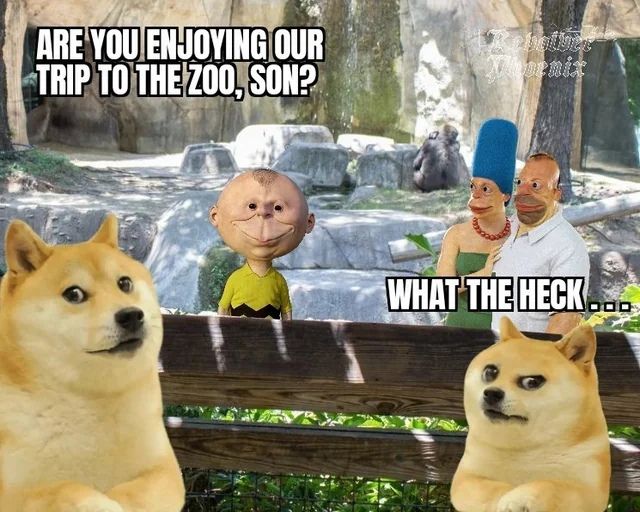 zoo