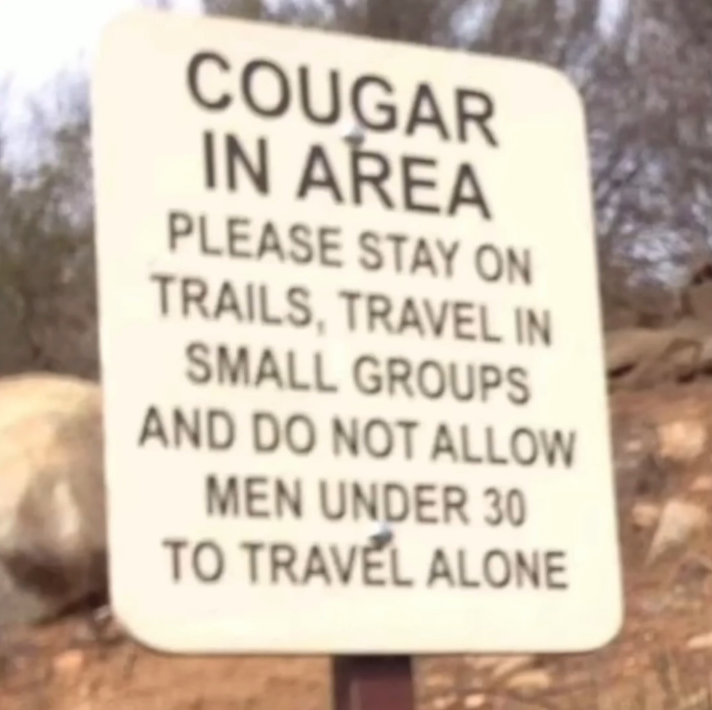 I must go to a perilous journey