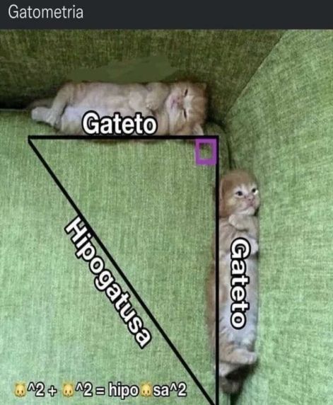 cath