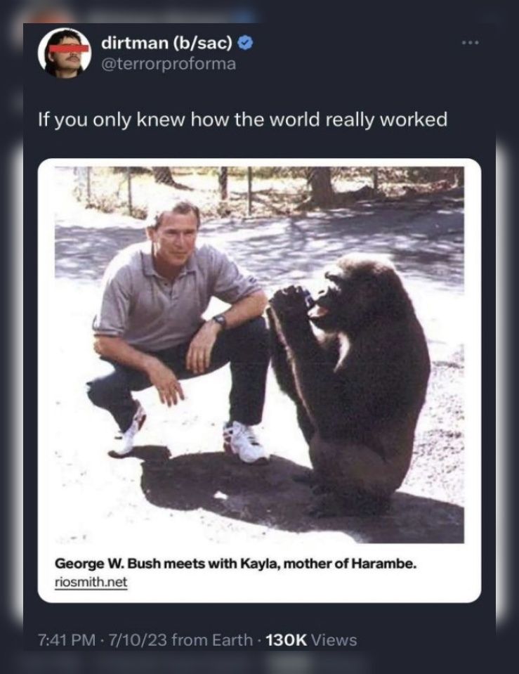 whoa