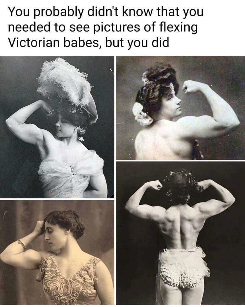 muscle mommy's