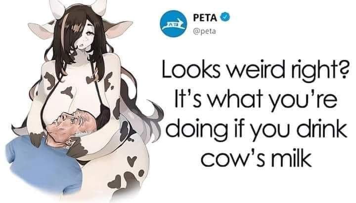 I already like milk, no need to sell it to me Peta